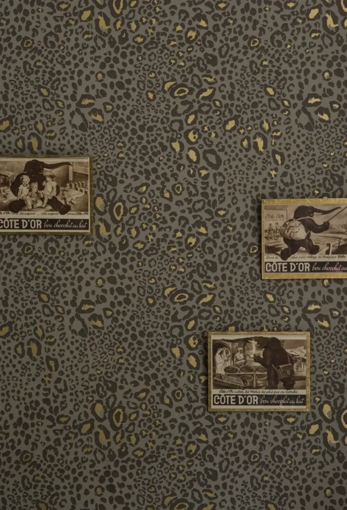 Ocelot - Image 3