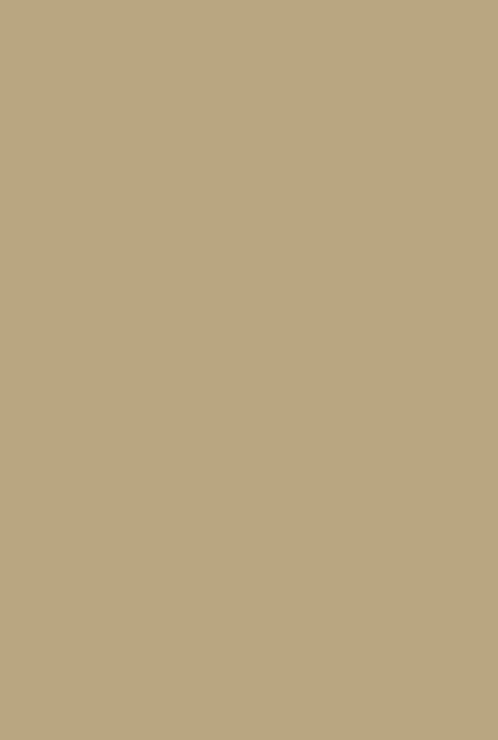 Biscuit No. 38 - Image 2