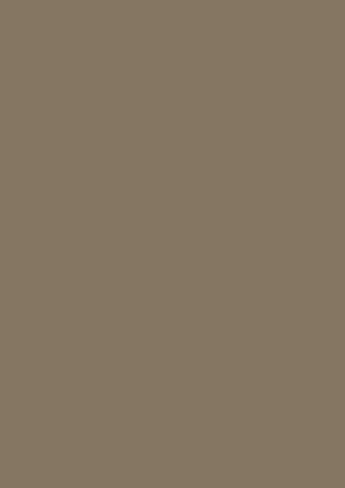 Broccoli Brown No. 198 - Image 3
