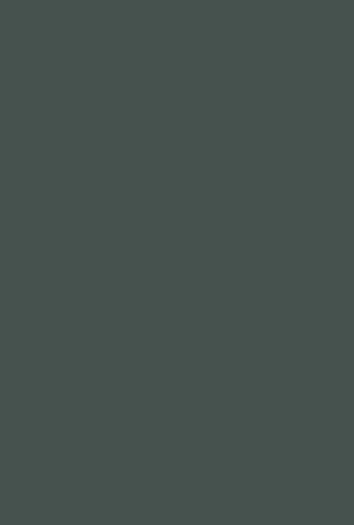 Chine Green No. 35 - Image 3