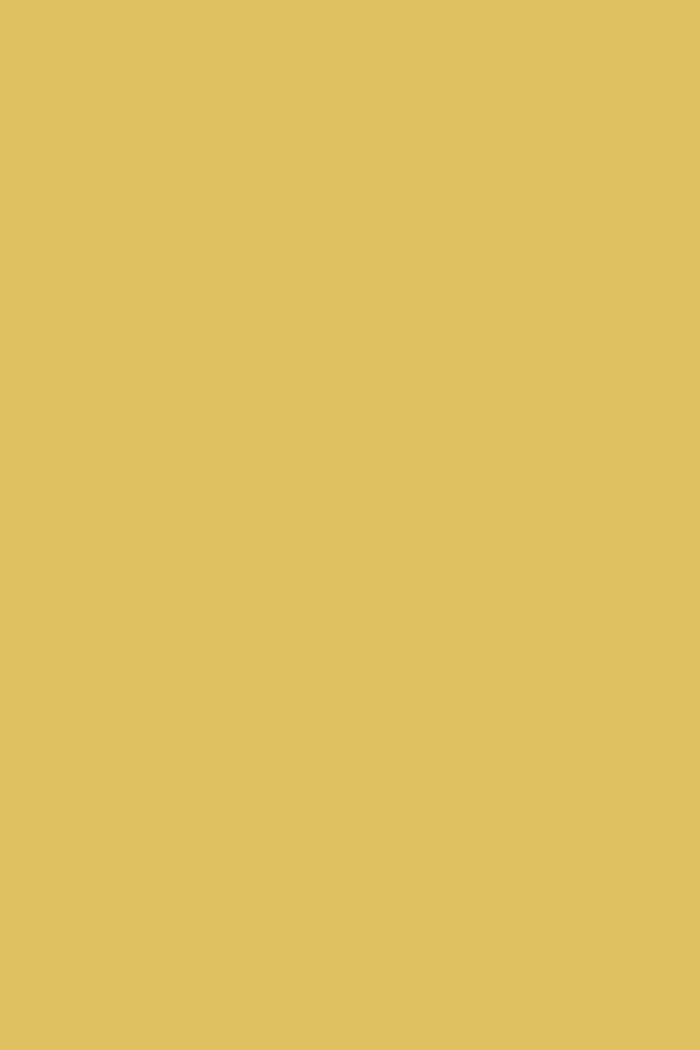 Ciara Yellow No. 73 - Image 4