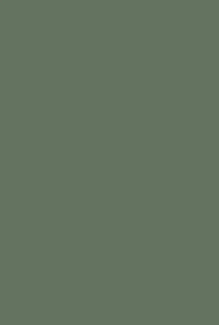 Dyrehaven No. 9819 - Image 2