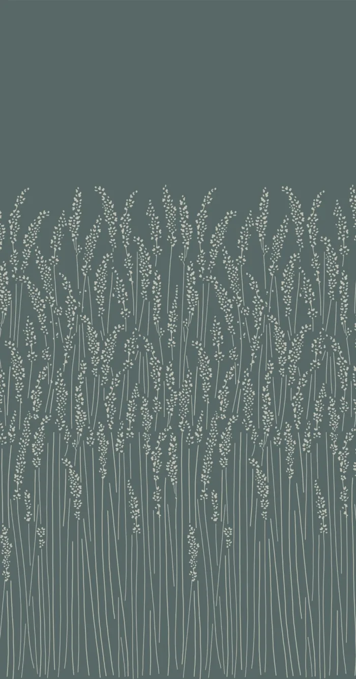 Feather Grass