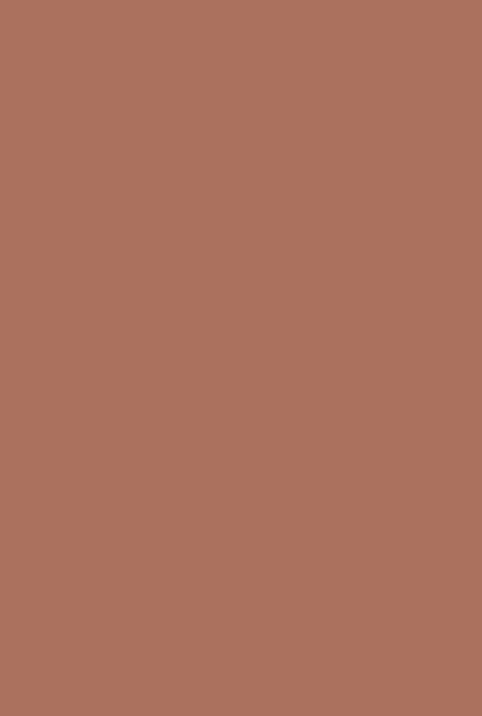Fox Red No. 48 - Image 2