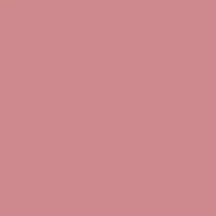Garlic Prawn - Image 2