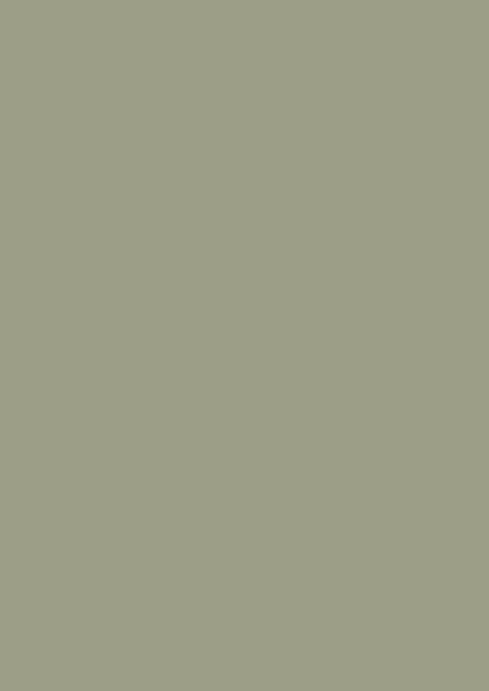Lichen No. 19 - Image 3