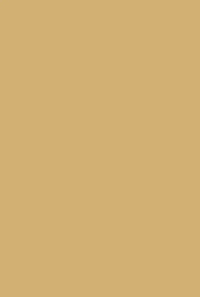 Octagon Yellow No. 7 - Image 2