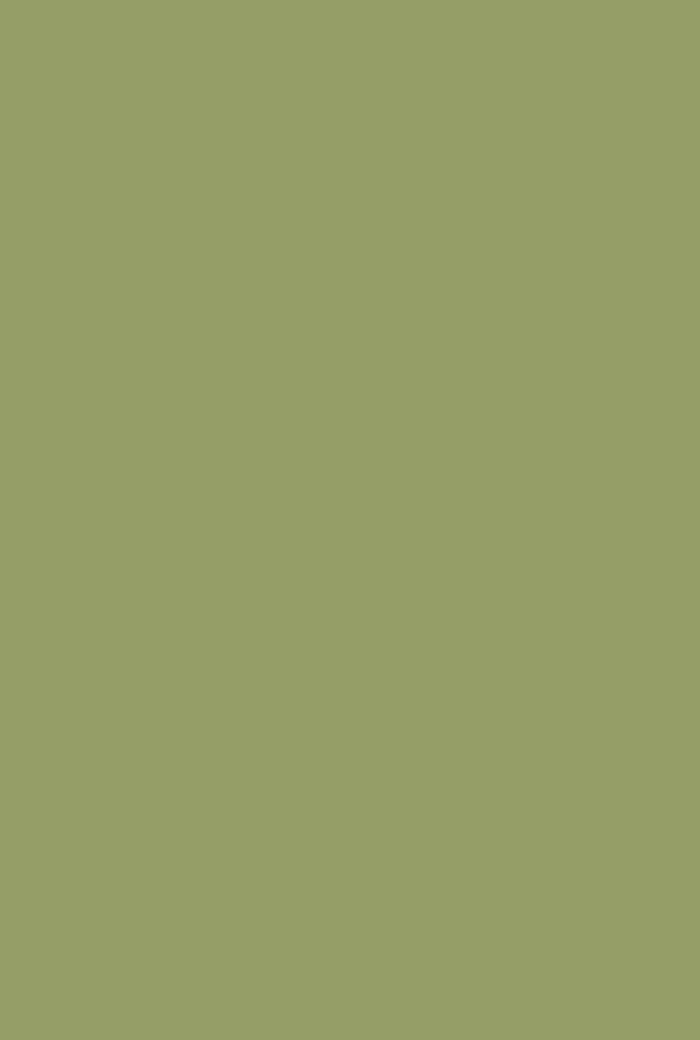 Olive No. 13 - Image 4