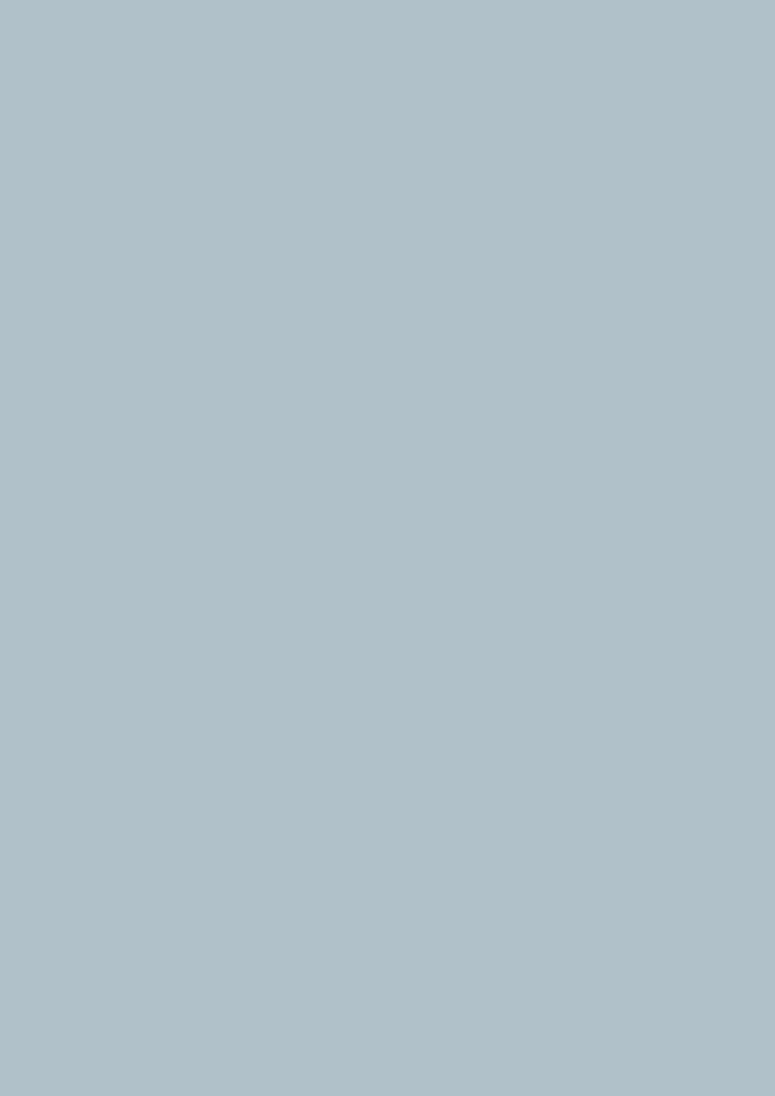 Parma Gray No. 27 - Image 3