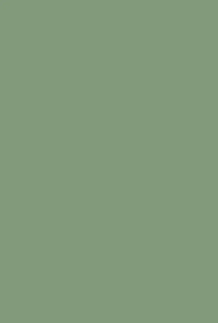 Pea Green No. 33 - Image 2