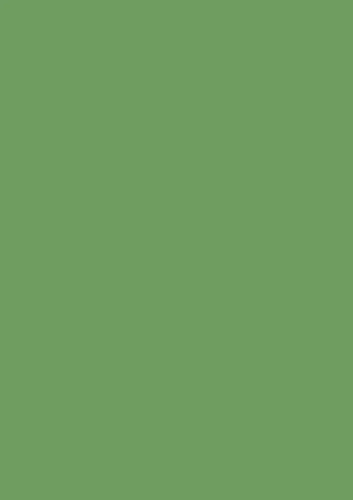 Raw Tomatillo No. CB6 - Image 3
