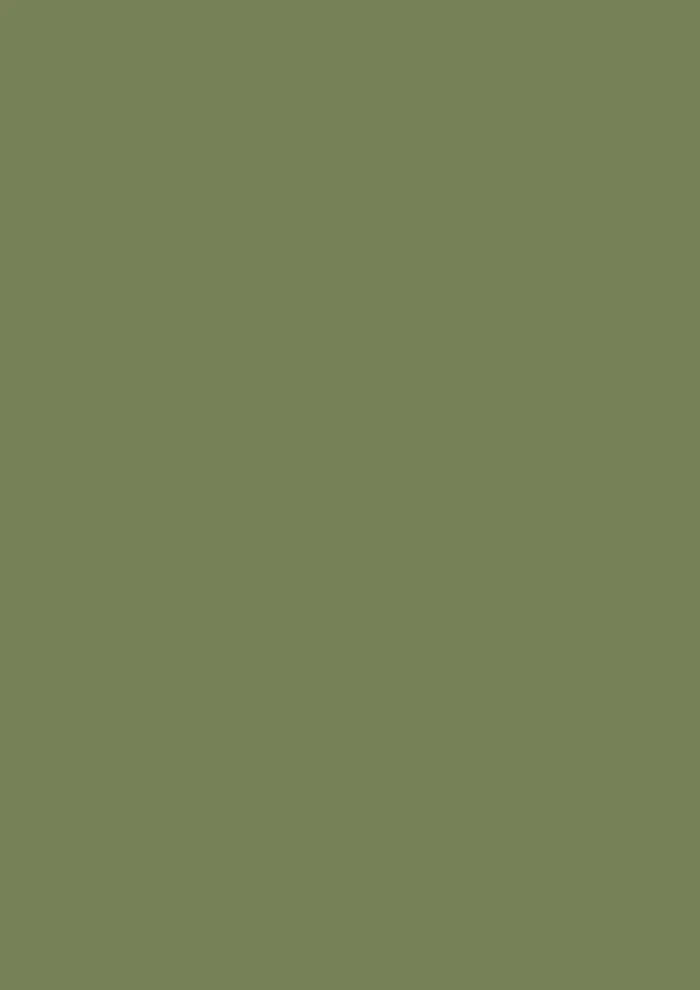 Sap Green No. 199 - Image 3
