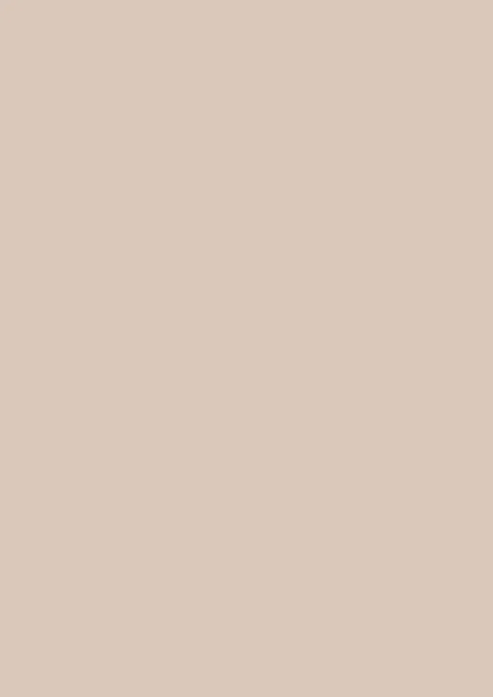 Scallop No. 311 - Image 2