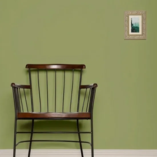 Olive No. 13 27