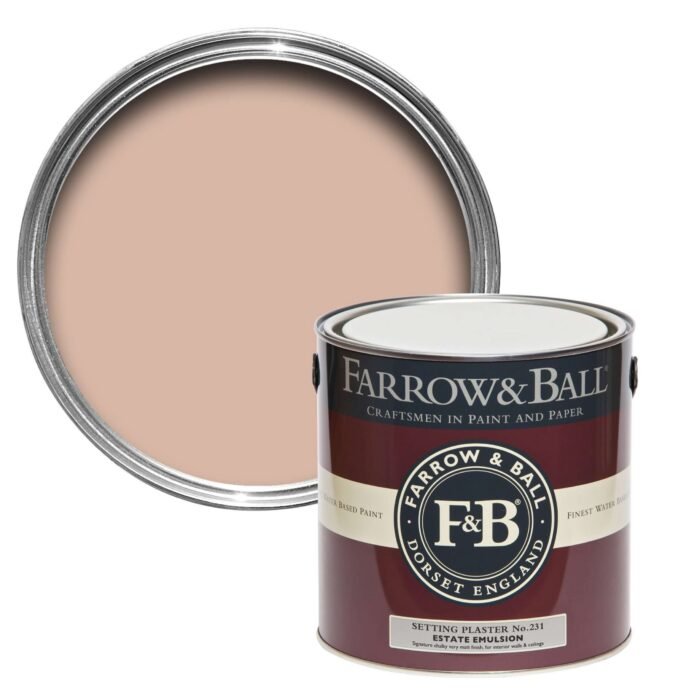 Setting Plaster No. 231 - Sample Pot 100ml