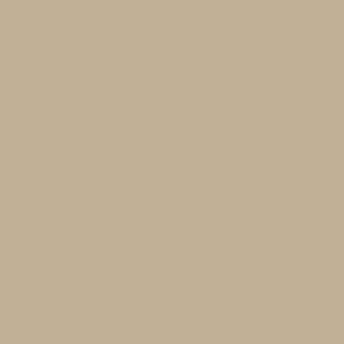 Pebble - Image 2