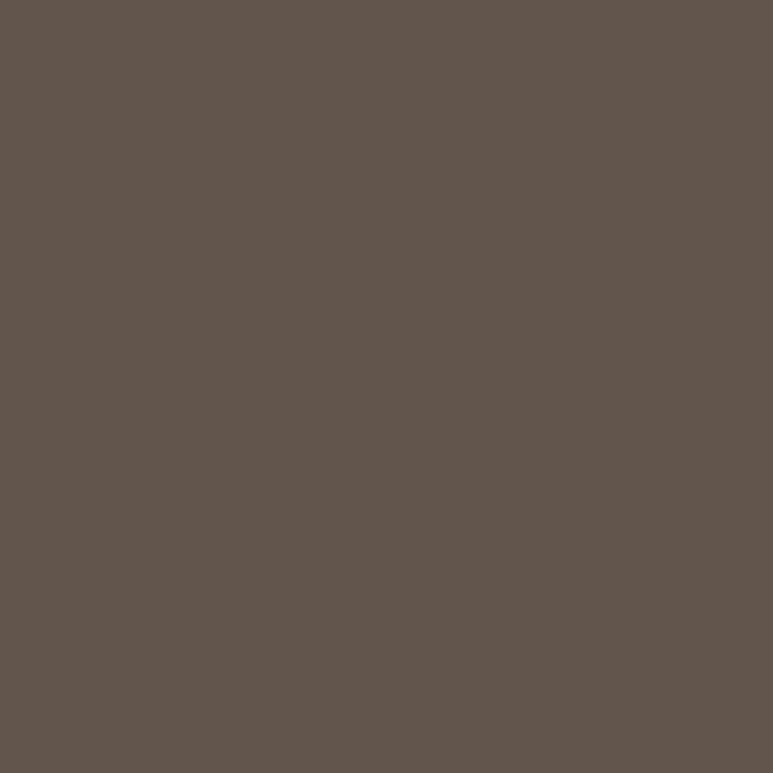 Raw Umber - Image 2
