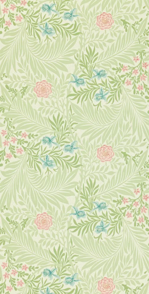 Larkspur 43