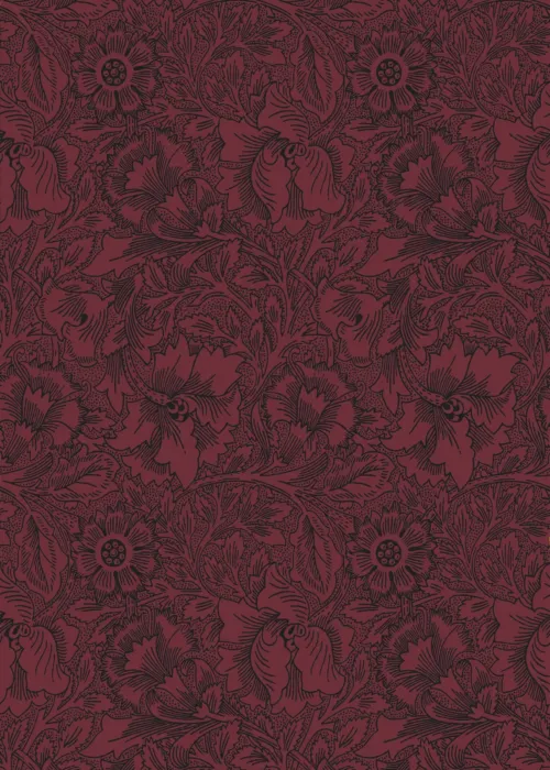 Poppy 24