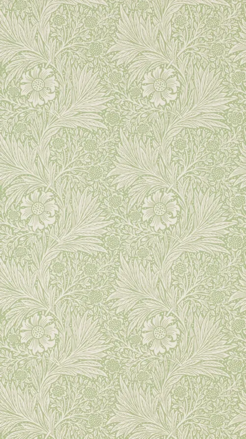 Marigold 48