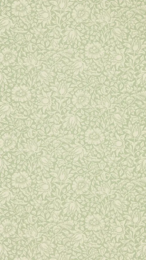Mallow 47