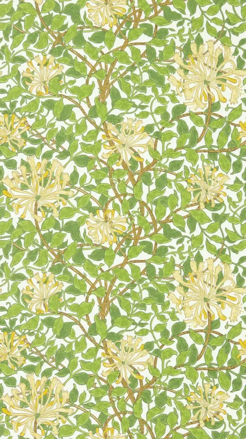 Honeysuckle 36