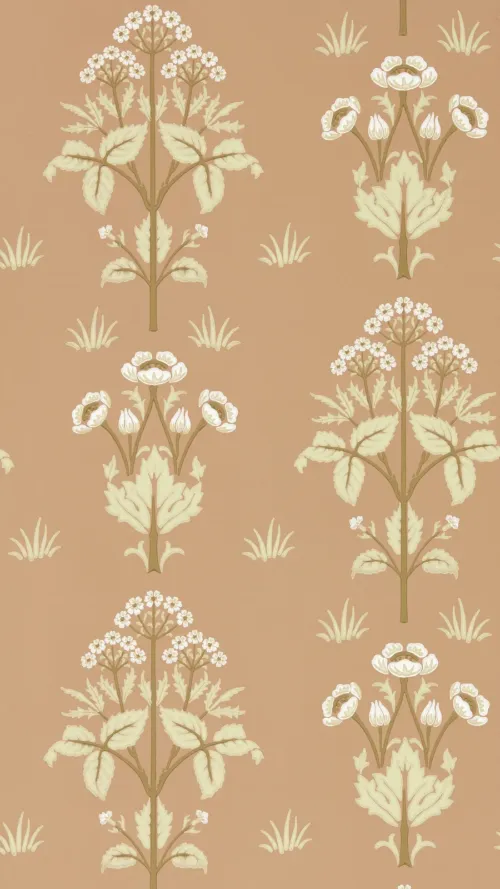 Meadow Sweet 50