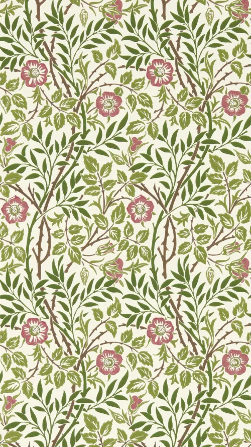 Sweet Briar 17