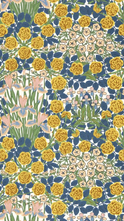Campanula 24