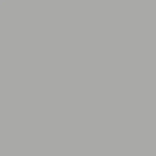 Iron Grey 41